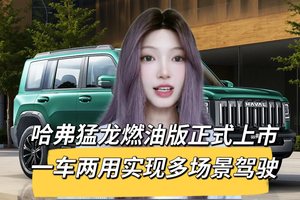 13.69万起！哈弗猛龙燃油版上市，2.0T带后锁和9种驾驶模式