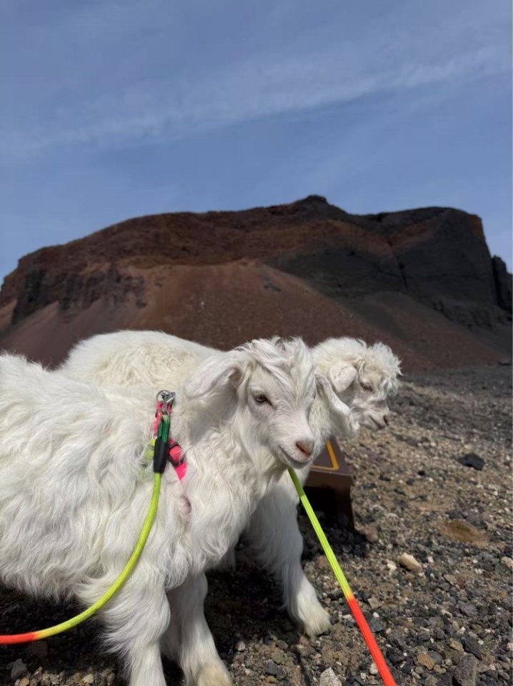 火山之魂与钢铁之翼：全新途胜L探秘乌兰察布