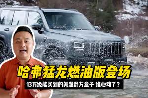 13万级能买到的真越野方盒子，哈弗猛龙燃油版携三大利器登场，谁心动了？