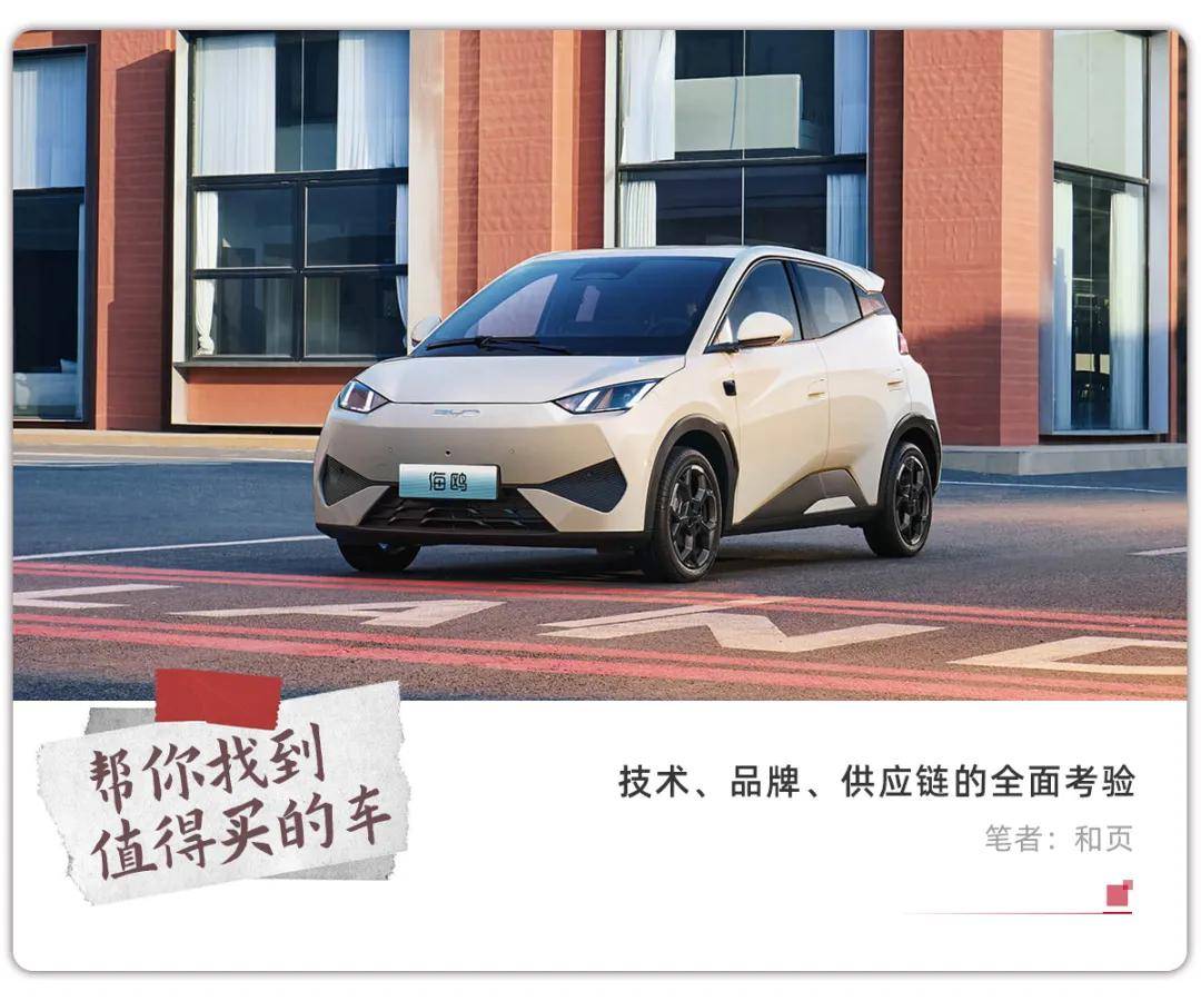 比亚迪大降价，谁最受伤？