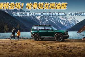 硬核登场！哈弗猛龙燃油版：2.0T+9DCT+四驱+差速锁全系标配，13.69万起售