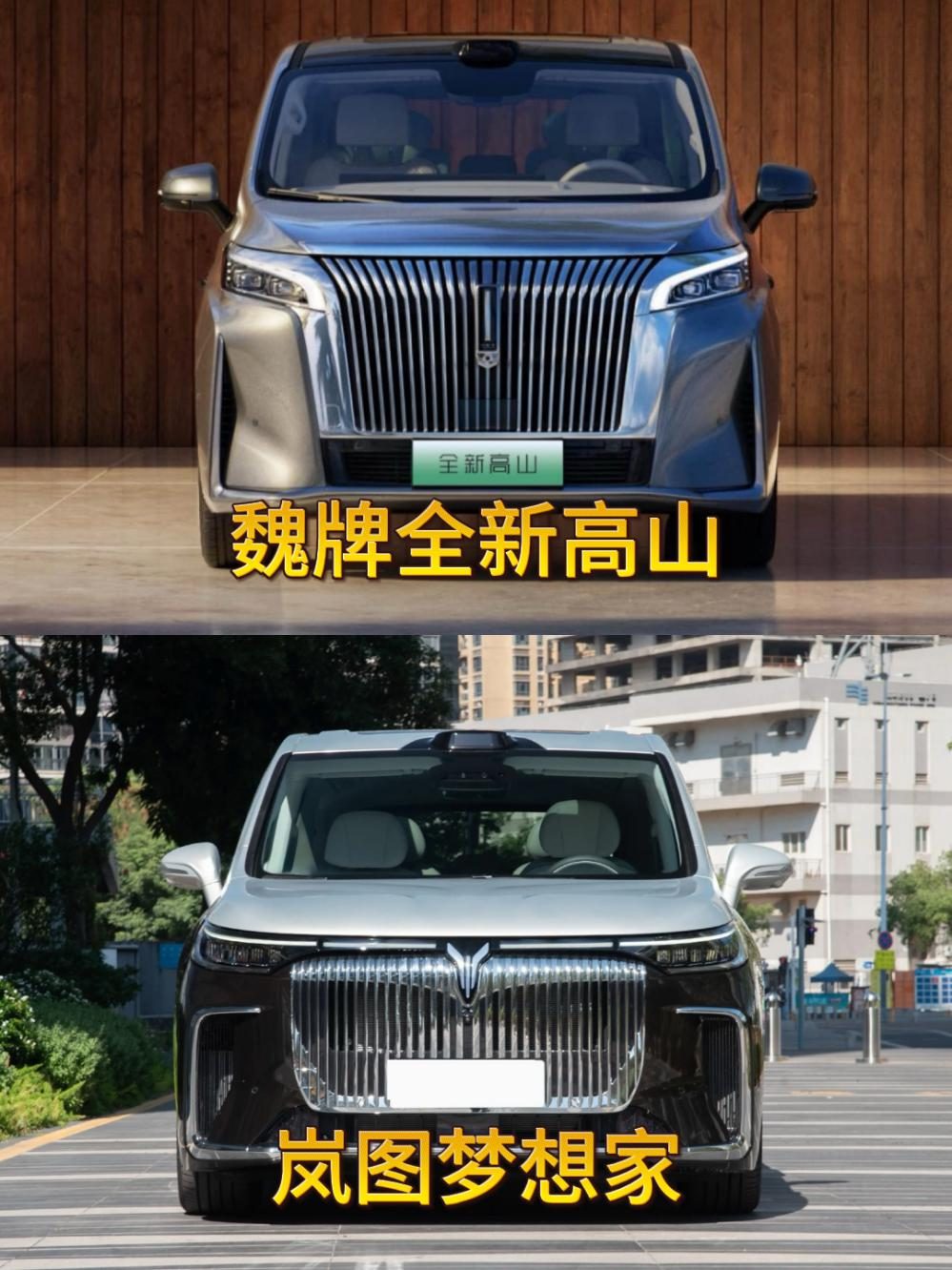 魏牌高山与岚图梦想家大对决，谁才是MPV真王者？