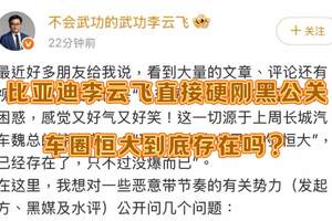 比亚迪云飞总直接硬刚黑公关，车圈恒大到底存在吗？