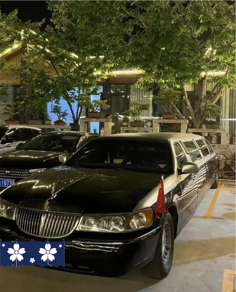 加长林肯轿车是怎么挂上蓝牌的，皖南最值得跑的公路又是哪一条？