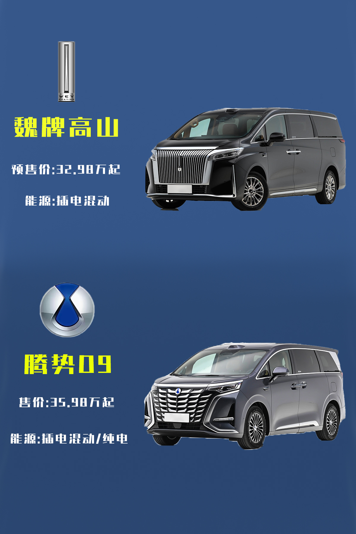 30万级MPV硬核对比：魏牌高山VS腾势D9，谁才是全能型选手？