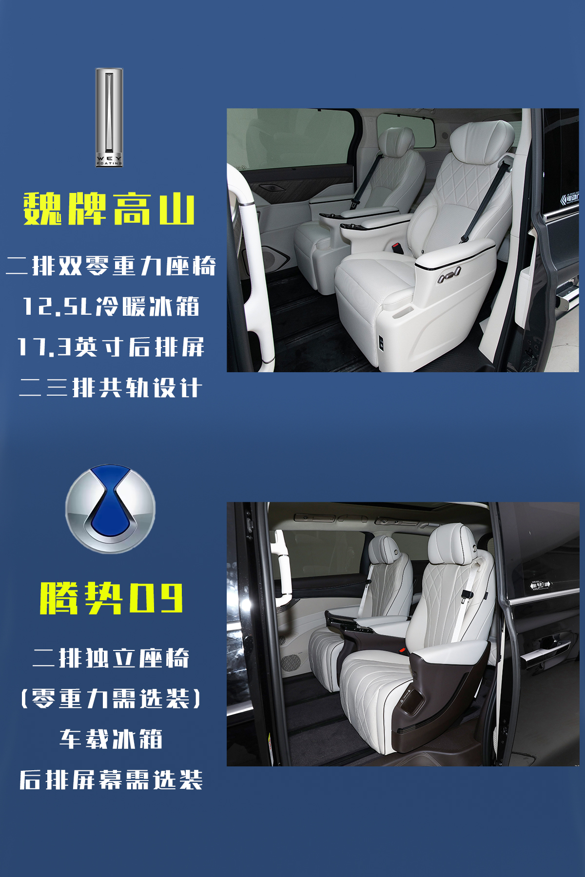 30万级MPV硬核对比：魏牌高山VS腾势D9，谁才是全能型选手？