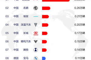 比亚迪全球化征途：2025年一季度销量多国登顶
