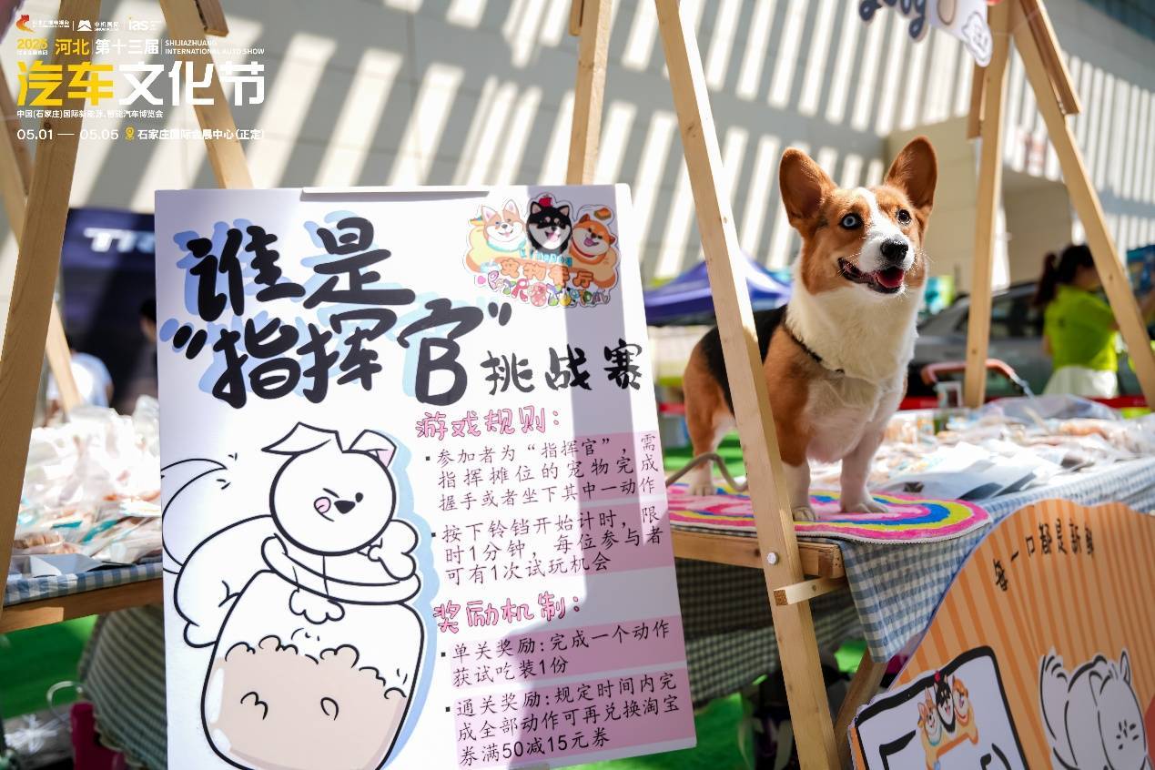燃情收官！2025河北汽车文化节圆满落幕！