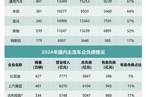 高负债≠高风险，透视全球车企年报，看清财报背后的真相