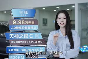 探店实拍：比亚迪海豚智驾版