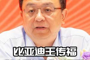 比亚迪王传福: 我们绝不拉踩同行，这是原则！
