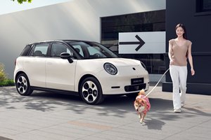 电动MINI COOPER VS 2025款钇为3，你更青睐哪款品质车型？