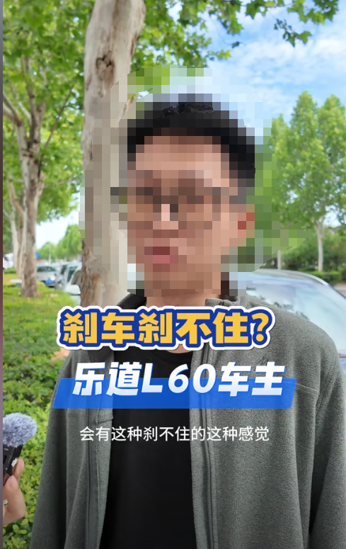 乐道L60制动系统“存在隐患”，是质量问题还是标定不佳？