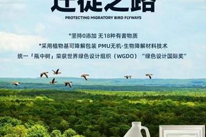 羽翼下的绿色航道：统一润滑油用植物基包装为候鸟拆解塑料枷锁