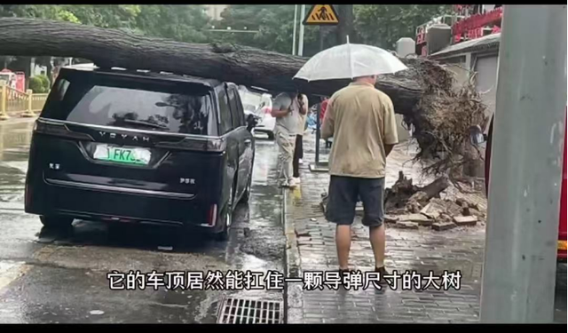 三板斧重回MPV销量第一？岚图梦想家底盘、智驾、安全统统拿捏