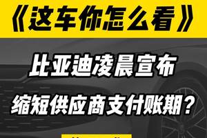 凌晨！比亚迪重大宣布！