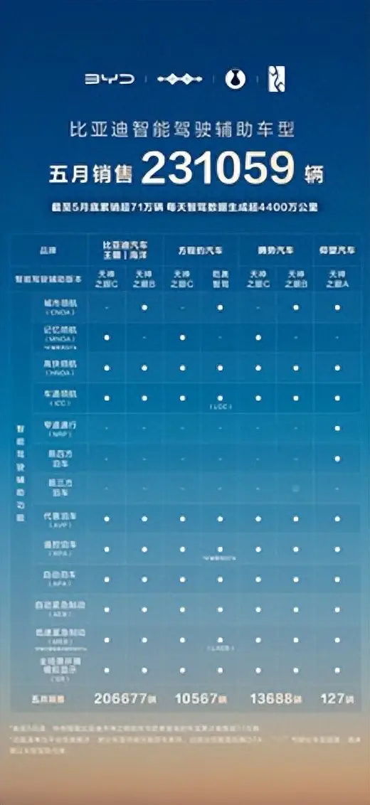 智驾市场格局生变，比亚迪凭超 23 万辆销量强势领跑