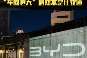 一季度车企利润曝光！比亚迪自证清白，谁是魏总口中的“恒大”？