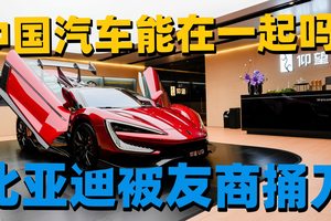 智驾市场格局生变，比亚迪凭超 23 万辆销量强势领跑
