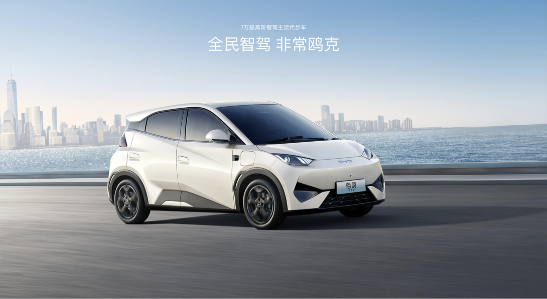 测试官丨“拷打”海鸥，卖到五六万，智能辅助可靠吗？
