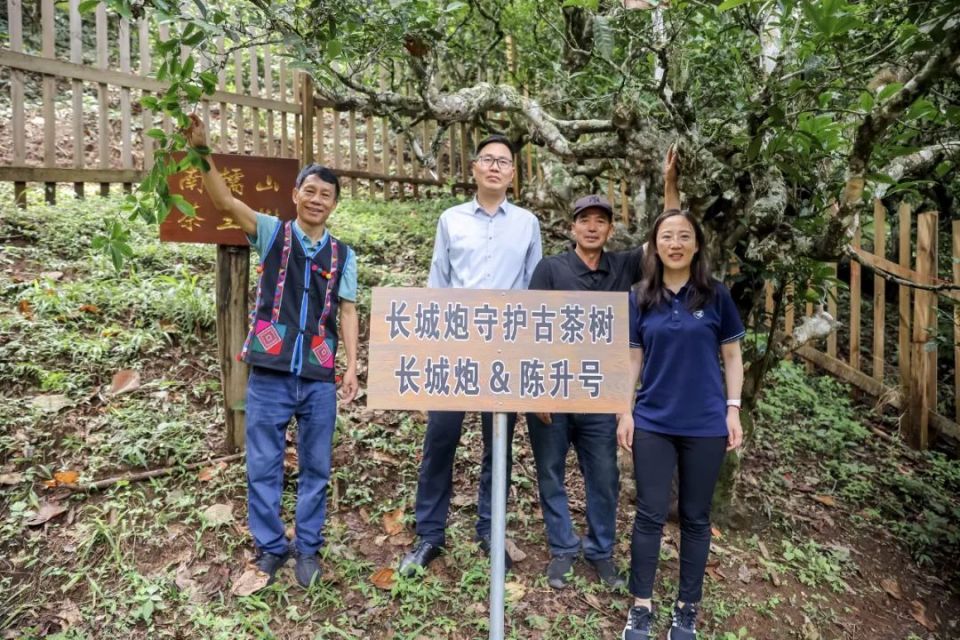 长城炮全性能家族燃动云南 钢铁马帮探秘茶马古道 赋能千行百业