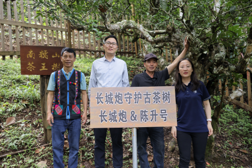 长城炮全性能家族燃动云南 “钢铁马帮”探秘茶马古道 赋能千行百业