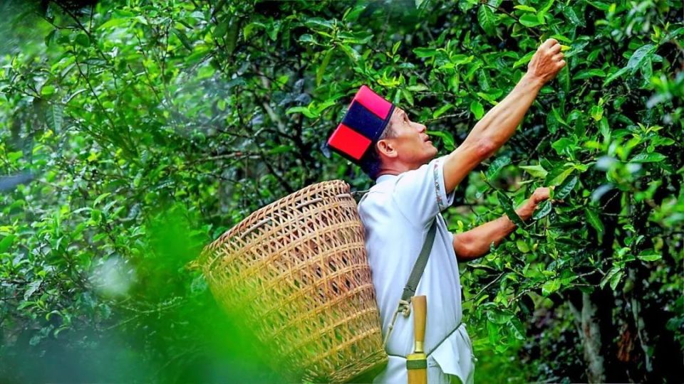 长城炮全性能家族燃动云南 钢铁马帮探秘茶马古道 赋能千行百业