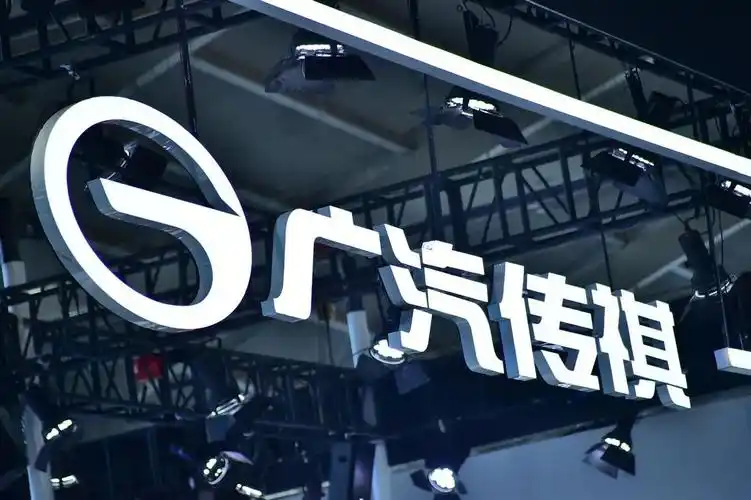 向往兴，传祺行