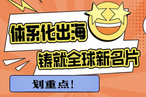 体系化出海铸就全球新名片