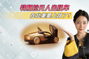 国内FSD被诋毁爆的特斯拉，无人驾驶出租车，要在北美上路了！