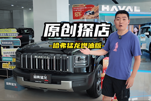 探店猛龙燃油版 除了动力不一样还有啥区别？