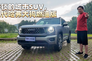 带锁的城市SUV，二代哈弗大狗燃油版