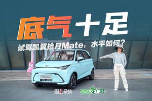 宜宾造的5万级电动小车，水平如何？试驾凯翼拾月Mate