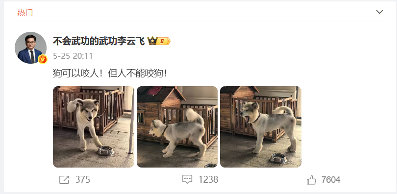 暗指比亚迪是“汽车界恒大”，不是蠢，就是坏！