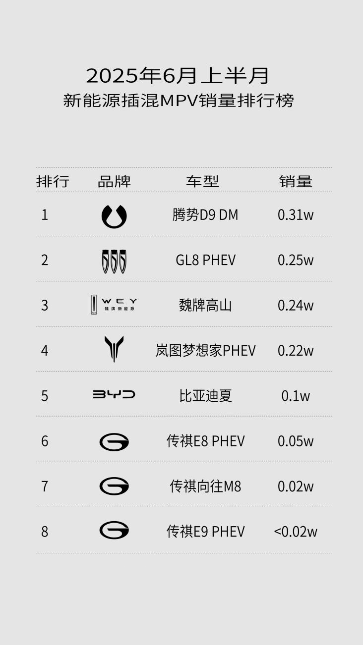 魏牌全新高山热销背后，国产新能源MPV如何实现突围？