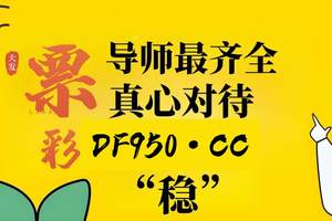 2025顶级实力盘点：大发导师单带回本血方案攻略