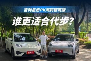 热门纯电代步车之争，吉利星愿和比亚迪海鸥智驾版，如何选择？