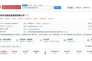 “弱弱”联合！宝能能否盘活威马？