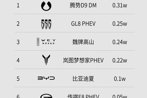 魏牌全新高山销量火爆，高端新能源MPV市场的实力代表