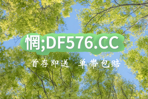2025重磅前瞻：快速3全天精准计划群