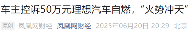 车主控诉MEGA自燃！理想调查人员发现车内有打火机残骸