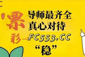 2025首选推荐:大发的导师包赔包赚计划