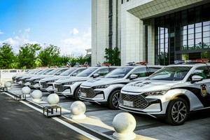 公务员都在开比亚迪，每4辆新能源公务车就有1辆是比亚迪