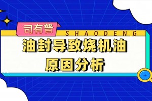 烧机油的发动机为什么修理厂都建议换气门油封