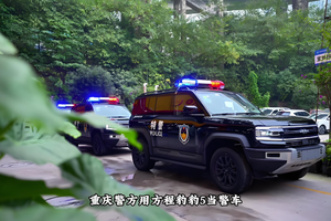 政府采购新能源汽车数据出炉，比亚迪28.21%高居榜首