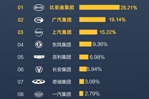 公务员为何扎堆开比亚迪？够安全才值得信赖！