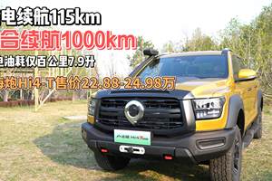 能上山能下河能上班能接娃 山海炮Hi4-T上市售22.88-24.98万