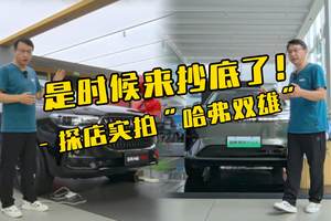 是时候来抄底了！探店实拍“哈弗双雄”