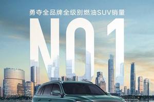 家庭出行 “头等舱” 实至名归，星越 L 凭实力夺冠