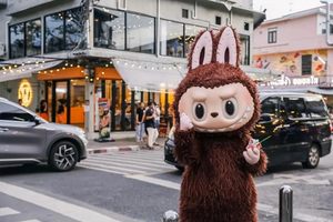 买车不是买LABUBU